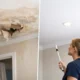 Water Damage Repair Case Study: Ceiling Restored